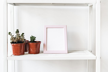 House plants in pots on white shelf at home