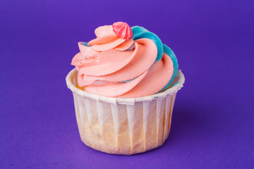 Beautiful cupcake against saturated dark purple background