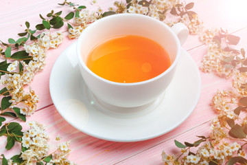 Green tea in a ceramic cup with branches of blossoming tree branches