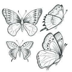 Sketch ink graphic butterflies set illustration, draft silhouette drawing, black on white line art. Vintage etching nature design.