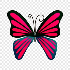 Pink butterfly icon. Cartoon illustration of pink butterfly vector icon for web