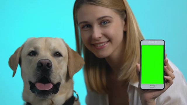 Happy dog owner showing smartphone green screen, cute pet looking at camera, app