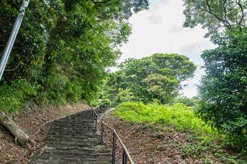 Obraz premium 海岸沿いの遊歩道を行く