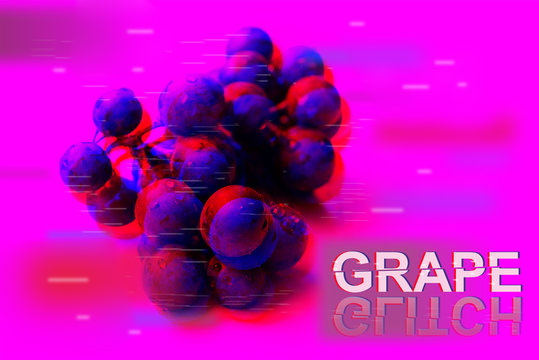 Bunch of blue grapes on pink background.