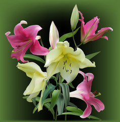 Naklejka premium light yellow and pink lily flowers bunch on green background