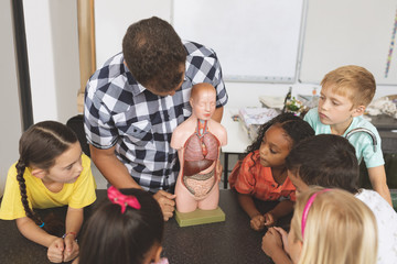 Teacher showing a dummy skeleton to his school kids in classroom at school