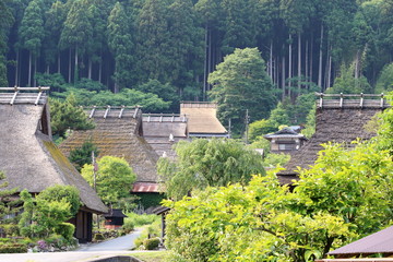 Fototapeta premium The thatched house village in Miyama
