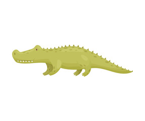 Green crocodile. Vector illustration on white background.