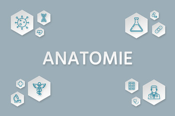 Pharma Anatomie