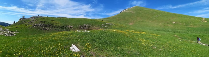 Fototapeta na wymiar panorama - alpage du charmant som en chartreuse