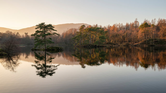 Beautiful landscape image of Tarn Hows in Lake District during beautiful Autumn Fall evening sunset with vibrant colours and still waters