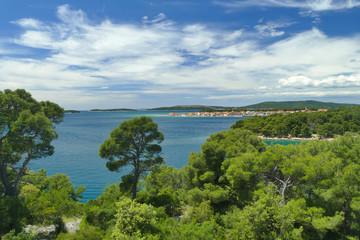 Fototapeta na wymiar Wild coast with pine trees and sandy beaches in Croatia