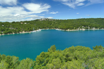Fototapeta na wymiar Natural small harbour with blue sea water and pine trees, Croatia