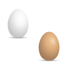Realistic white and brown eggs on white. Vector