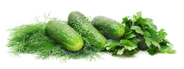 fresh cucumbers, dill and parsley isoalted on white background, suitable for header or banner