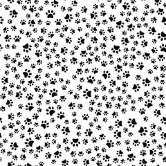 Seamless pattern with animal foot steps. Vector © Azad Mammedli