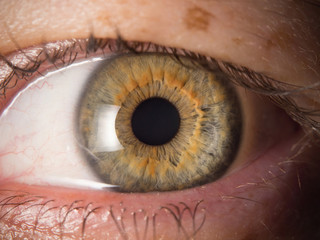 Human eye close up