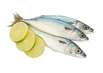 Fresh mackerel fish with lime slices isolated on white