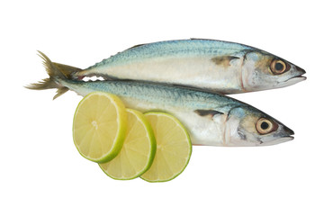 Mackerel fish with lime slices isolated on white