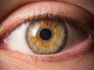 Human eye close up