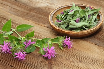 Fersh and dried  bergamot. Flowers of bergamot, Monarda didyma, on woodem board