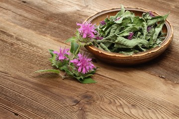 Fersh and dried  bergamot. Flowers of bergamot, Monarda didyma, on woodem board