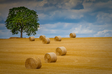 Strohballen auf dem Feld