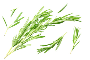 rosemary leaves isolated on white background. top view