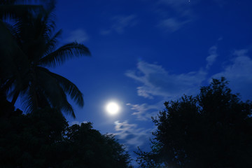 Moon light