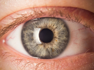 Human eye close up