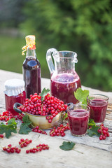A selection of redcurrant products - marmalade jam syrup must and red vine on table in garden