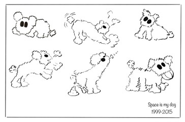 poodle dog cartoon collection