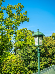Green tree and lantern in park