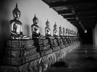 sieste au pieds des bouddhas
