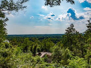 Circondato dal verde