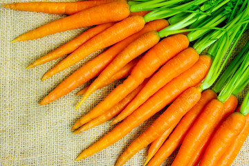 Fresh carrots with green petioles and leaves on jute background. Raw carrots full of vitamins ready...