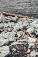 Log into water. Stone and bark. The log fell when unloading from a cargo ship.