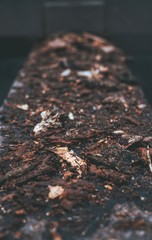 Bark on metal construction. Texture. Background. Blur.