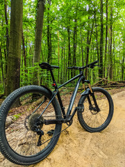 MTB bicycle on the trail in the spring season