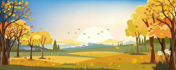 Poster Im Rahmen Panoramalandschaften des Herbstbauernhofes mit Ahornblättern, die von den Bäumen fallen, Herbstsaison am Abend. © Anchalee