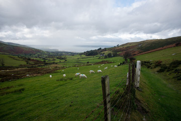 landscape in the mountains