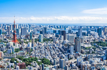 Fototapeta premium 東京 青空と都市風景