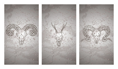 Vector set of three illustrations with hand drawn skulls roe deer and rams on grunge texture background. Vintage sketch in dark color.