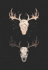 Vector illustration with two variants of hand drawn deer skull on black background. Gold silhouettes and contour with grunge texture.