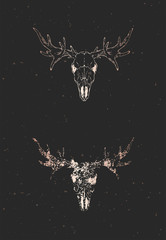 Obraz premium Vector illustration with two variants of hand drawn moose skull on black background. Gold silhouettes and contour with grunge texture.