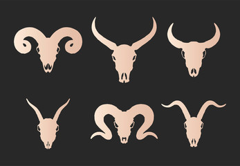Vector set of six hand drawn gold silhouettes skulls of horned animals: wild buffalo, bull, goat and ram on black background.