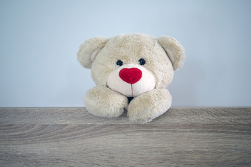 Background for kids play Teddy bear. Brown hair teddy bear standing behind the wood. Children's play concept