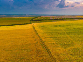 Top down view of fields with various types of agriculture. Beautiful lavender fields.