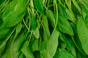 Fresh spinach leaves as background.