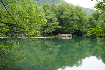 water, river, lake, nature, landscape, forest, tree, trees, green, sky, summer, park, pond, reflection, stream, blue, spring, grass, environment, beauty, beautiful, peaceful, tranquil, woods, natural